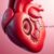 Zastawki serca – budowa, funkcje i leczenie najczęstszych wad